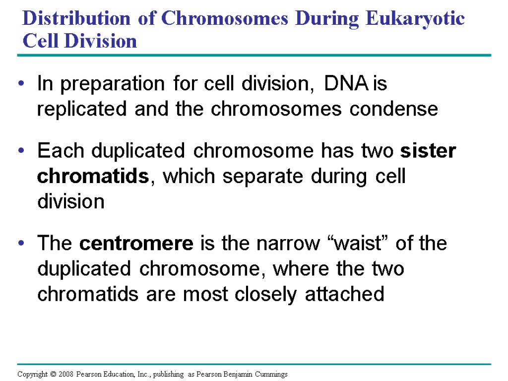 Distribution of Chromosomes During Eukaryotic Cell Division In preparation for cell division, DNA is